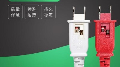2021年，我們不見不散-電源線廠家